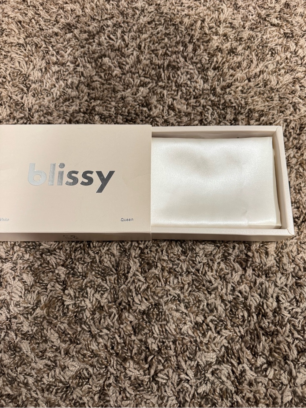 Blissy Silk Hair Pillowcase in Ivory